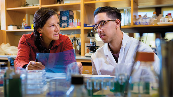 Biology Professor Martha Grossel mentors a student.