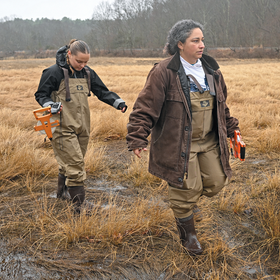 The Bucket Ecologist
