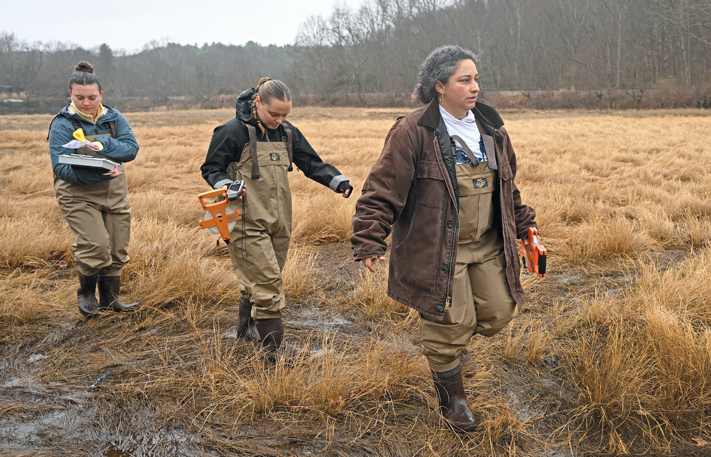 Professor Maria Rosa walks students through a marsh at Mamacoke Island