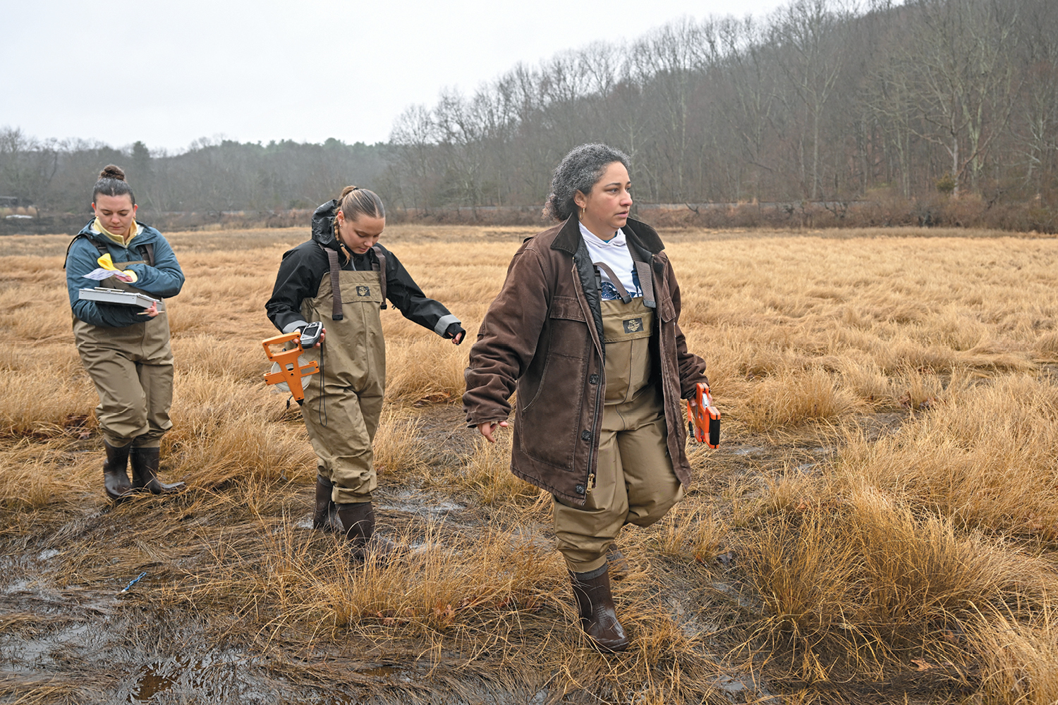Professor Maria Rosa walks students through a marsh at Mamacoke Island