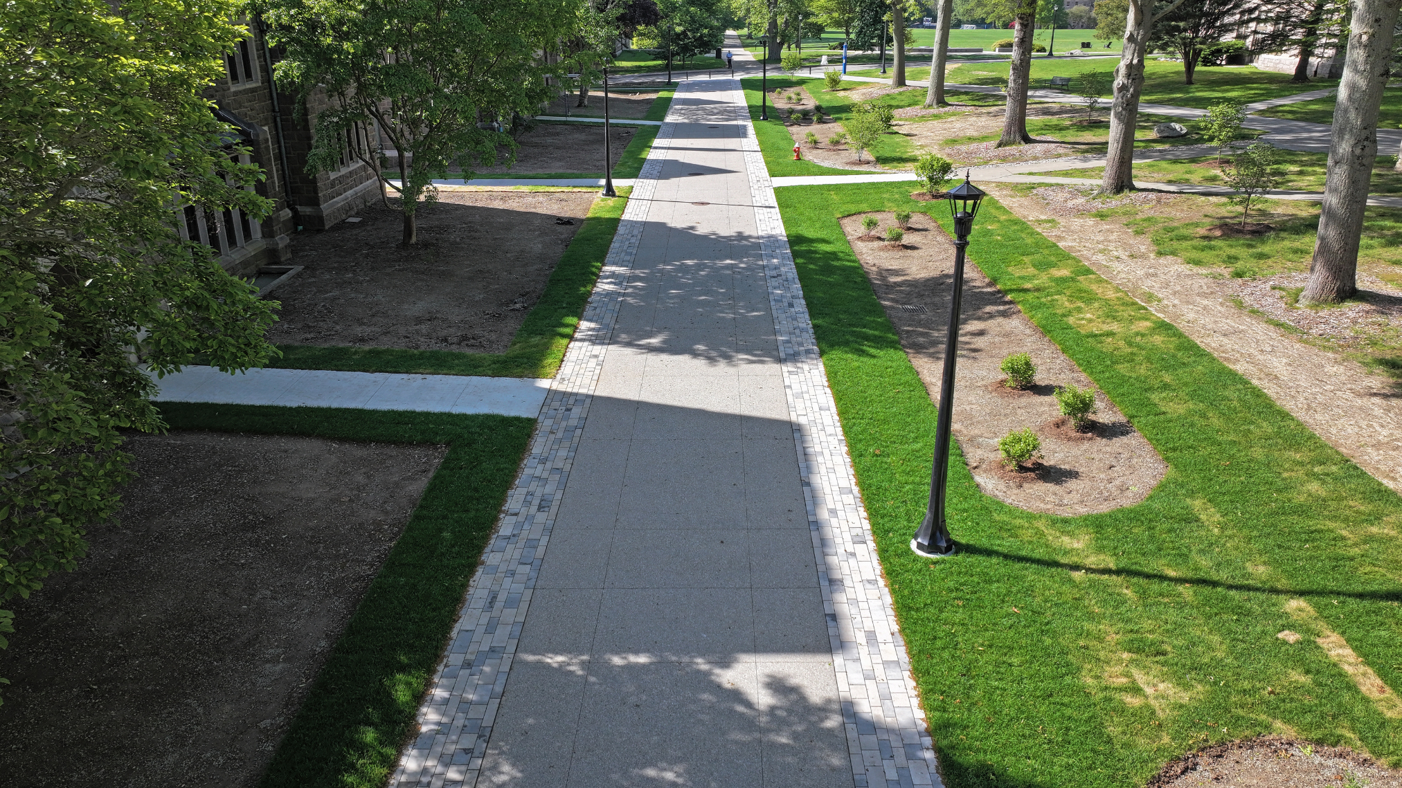 Crozier-Williams Pedestrian Promenade Up Close