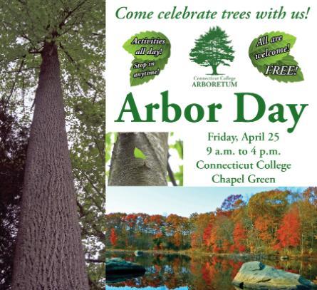 Images of trees with information about the Connecticut College Arboretum Arbor Day event