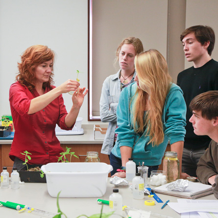 Botany professor Rachel Spicer (left) participates in student-faculty research, a major component of the Richard H. Goodwin Environmental Fund.