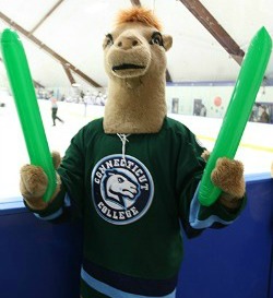Camel Mascot at Green Dot Hockey Game