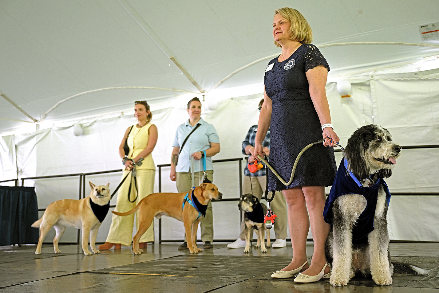 Dogs and their humans stand on a stage together.