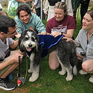Students pet First Dog Koda at the first Indoguration