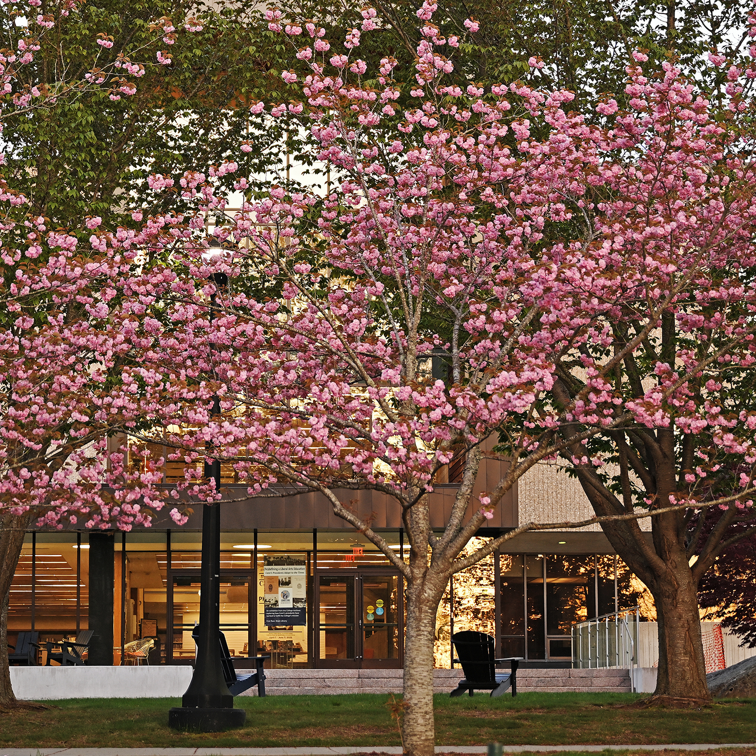 May in Pictures