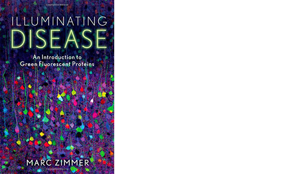 Illuminating Disease by Marc Zimmer