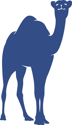 Connecticut College's official camel, above, will be redesigned by Ohio-based Rickabaugh Graphics, with input from students, alumni and members of the Connecticut College community