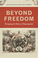 Book jacket image of the book Beyond Freedom by James Downs.