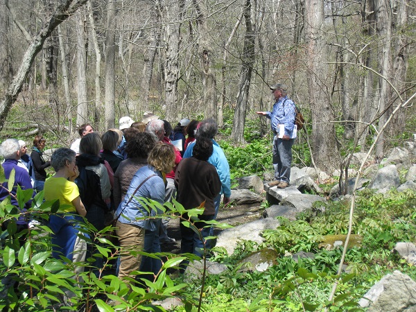 Wildflower Garden Tour led by Glenn Dreyer, May 2014